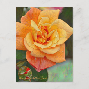 Cartão Postal Rosa Souvenir de Anne Frank [Cartão-postal]