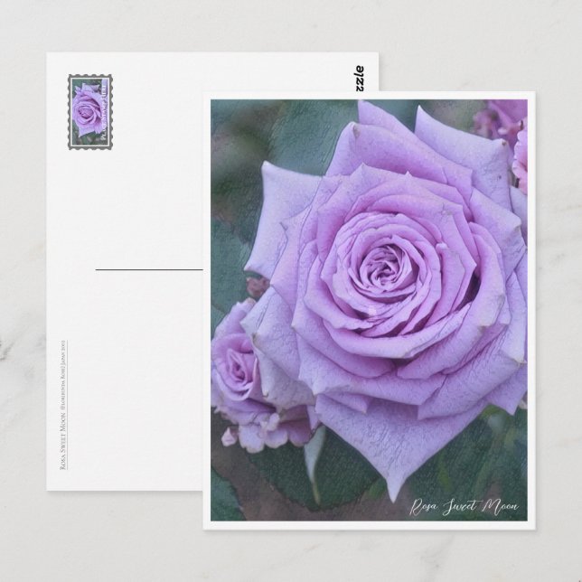 Cartão Postal Rosa Sweet Moon (Frente/Verso)