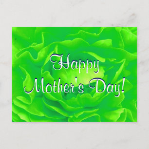Cartão Postal Rosa Verde Brilho Dia de as mães