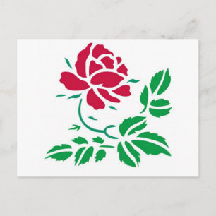 Cartão Postal Rosa vermelha