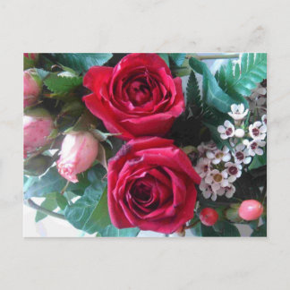 Cartão Postal Rosa vermelha