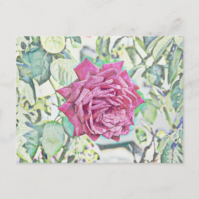 Cartão Postal Rosa vermelha (Frente)
