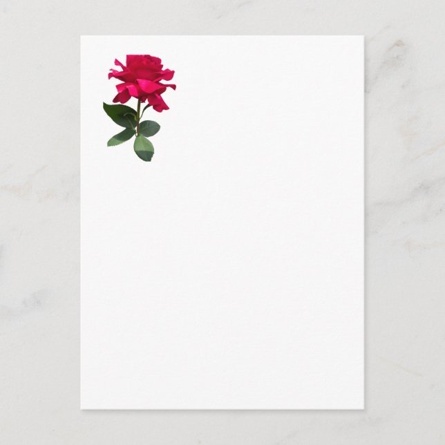 Cartão Postal Rosa vermelha (Frente)