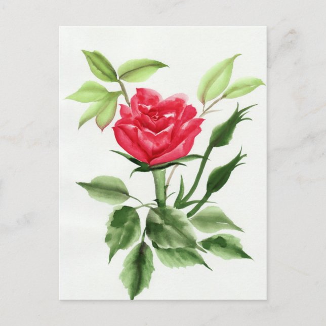 Cartão Postal Rosa vermelha (Frente)