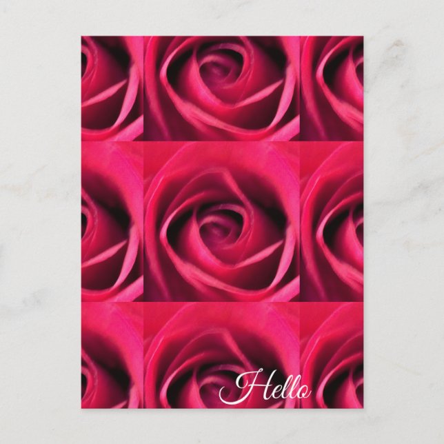 Cartão Postal Rosa vermelha (Frente)