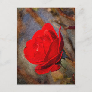 Cartão Postal Rosa Vermelha