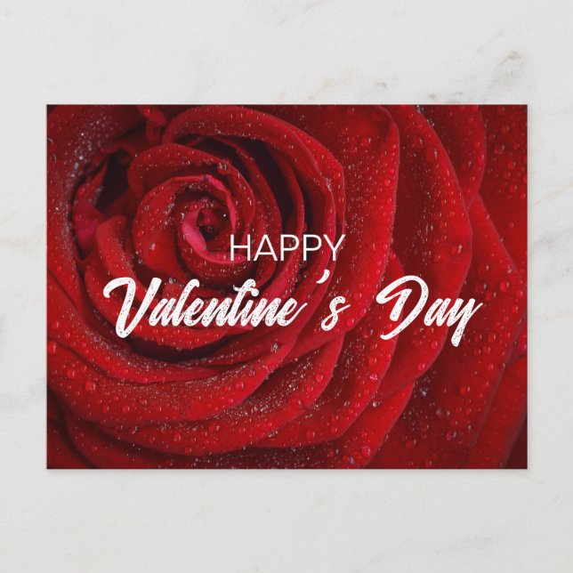 Cartão Postal Rosa vermelha, Namorados (Frente)