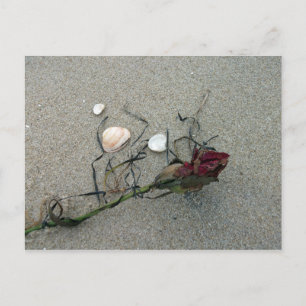 Cartão Postal rosa vermelha perdida no mar