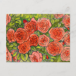 Cartão Postal Rosa vermelha, Rosa do Jardim Verde, Desenho Flora
