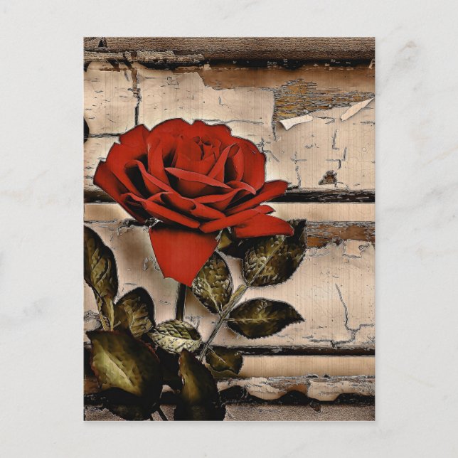 Cartão Postal Rosa vermelha Rústica Da Madeira Do Barn Com Dific (Frente)
