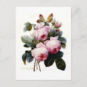 Cartão Postal Rosas