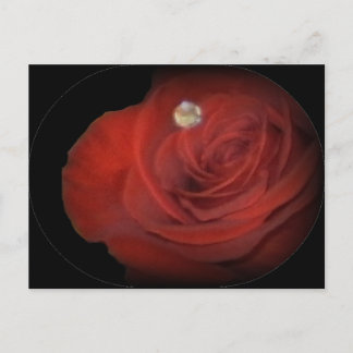 Cartão Postal Rosas