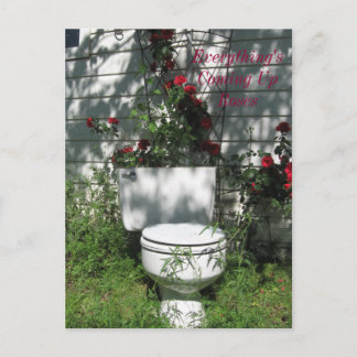 Cartão Postal Rosas a Receber