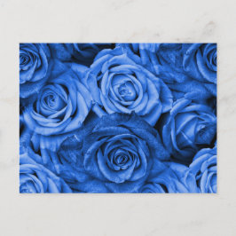Cartão Postal Rosas azuis