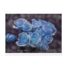 Rosas azuis brilhantes sobre fundo escuro