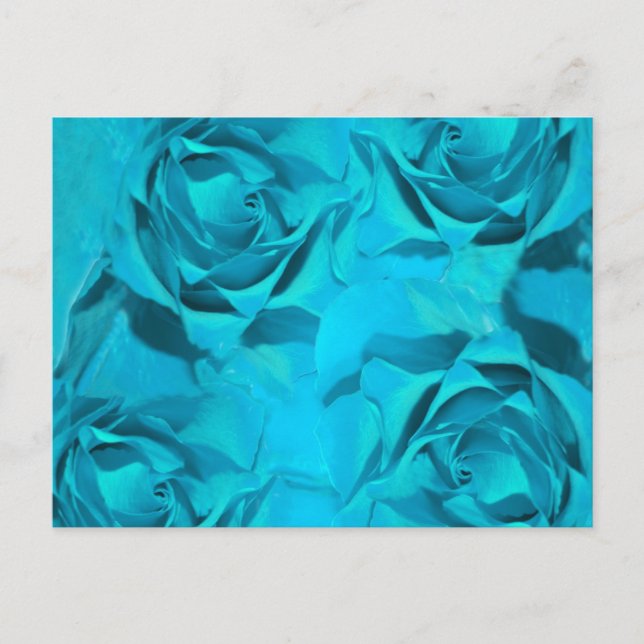 Cartão Postal Rosas Blues (Frente)