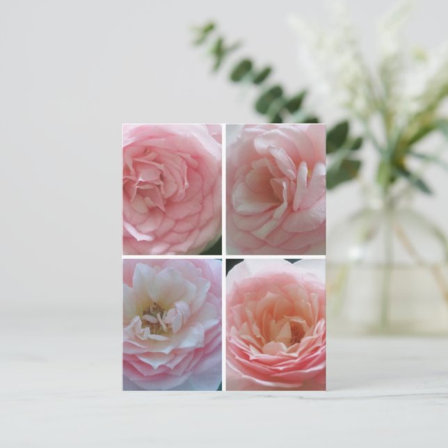 Cartão Postal Rosas bonito (Em pé/Frente)