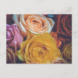 Cartão Postal Rosas coloridos