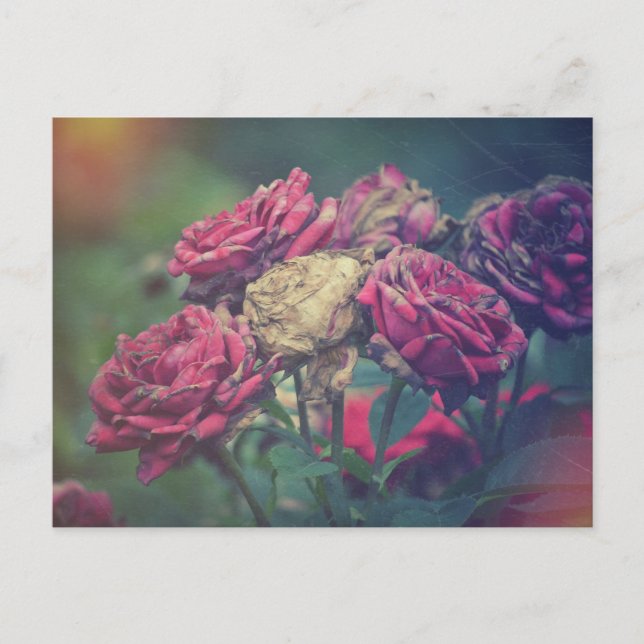 Cartão Postal Rosas de cartão-postal do Artesanato Ephemera (Frente)