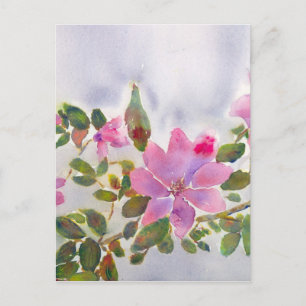 Cartão Postal Rosas de Nana