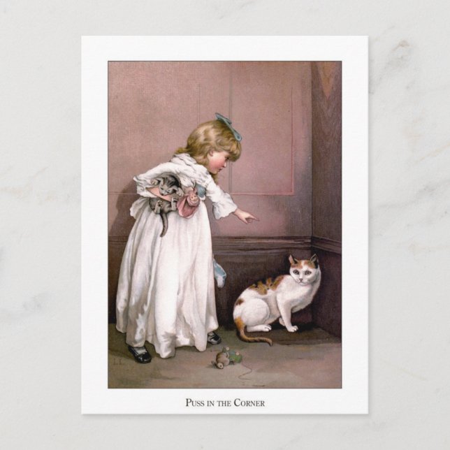 Cartão Postal Rosas de Natal: Gato no Canto (Frente)