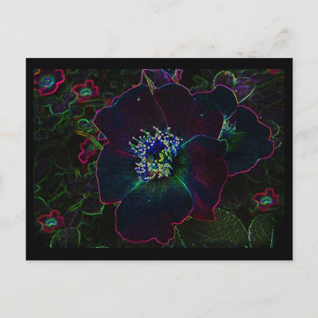 Cartão Postal Rosas elétricas (Frente)