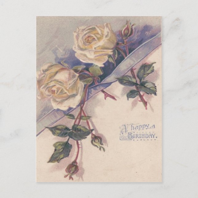 Cartão Postal Rosas Flores Rosa Branca (Frente)