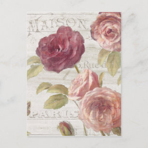 Cartão Postal Rosas Franceses Rosa Pastel