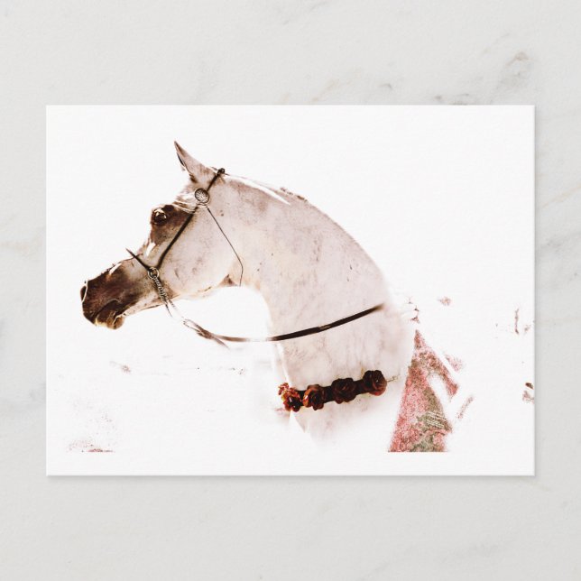 Cartão Postal Rosas num Cinza (Frente)