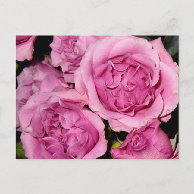 Cartão Postal Rosas para a mãe (Frente)