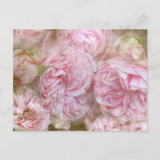 Cartão Postal Rosas românticas - tique de novela Roses