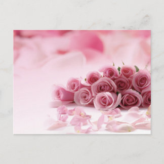 Cartão Postal Rosas Rosa - Floral