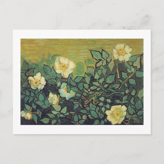 Cartão Postal Rosas selvagens, 1890. Vincent van Gogh. (Frente)
