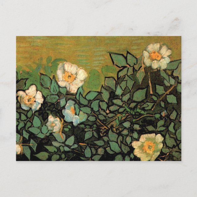 Cartão Postal Rosas selvagens (F597) Van Gogh Fine Art (Frente)