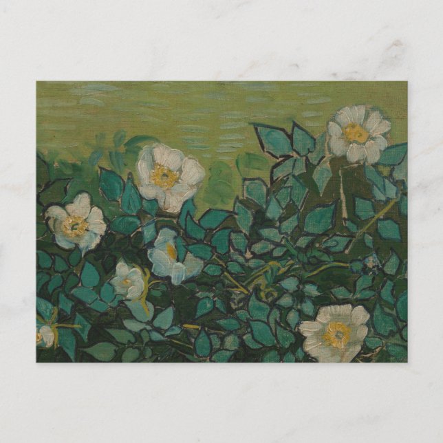 Cartão postal Rosas Silvestres de Vincent Van Gogh (Frente)
