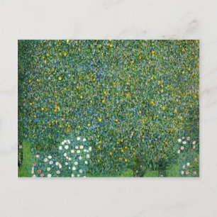 Cartão Postal Rosas sob a Árvore da Corte