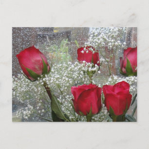Cartão Postal Rosas vermelhas