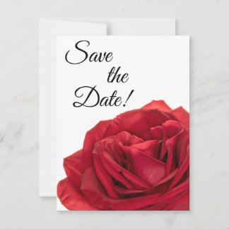 Cartão Postal rosas vermelhas 1822