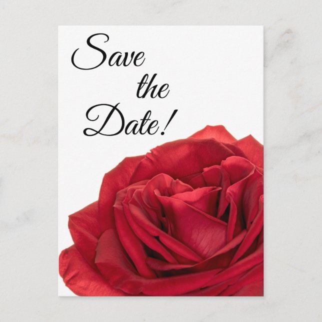 Cartão Postal rosas vermelhas 1822 (Frente)