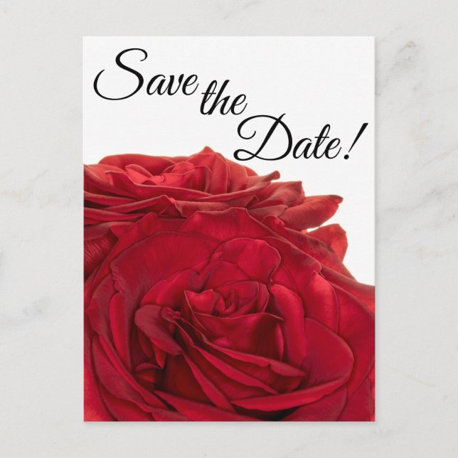 Cartão Postal rosas vermelhas 1824 (Frente)