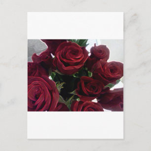 CARTÃO POSTAL ROSAS VERMELHAS LINDAS