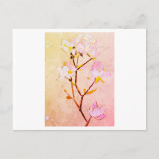 Cartão Postal Rose