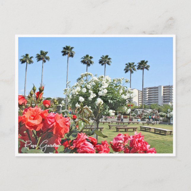 Cartão Postal Rose Garden (Frente)