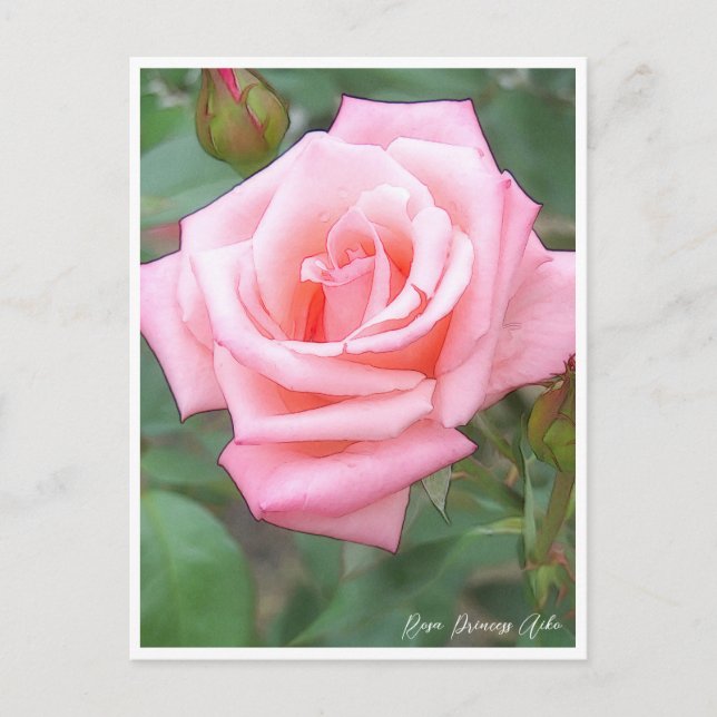 Cartão Postal Rose Garden (Frente)