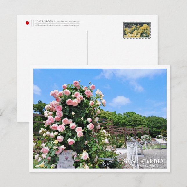 Cartão Postal Rose Garden (Frente/Verso)