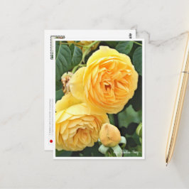 Cartão Postal Rose Garden