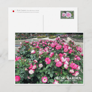 Cartão Postal Rose Garden (Nagai Botanical Garden) ポストカード