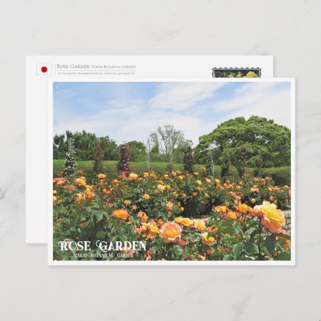 Cartão Postal Rose Garden (Nagai Botanical Garden) ポストカード (Frente/Verso)