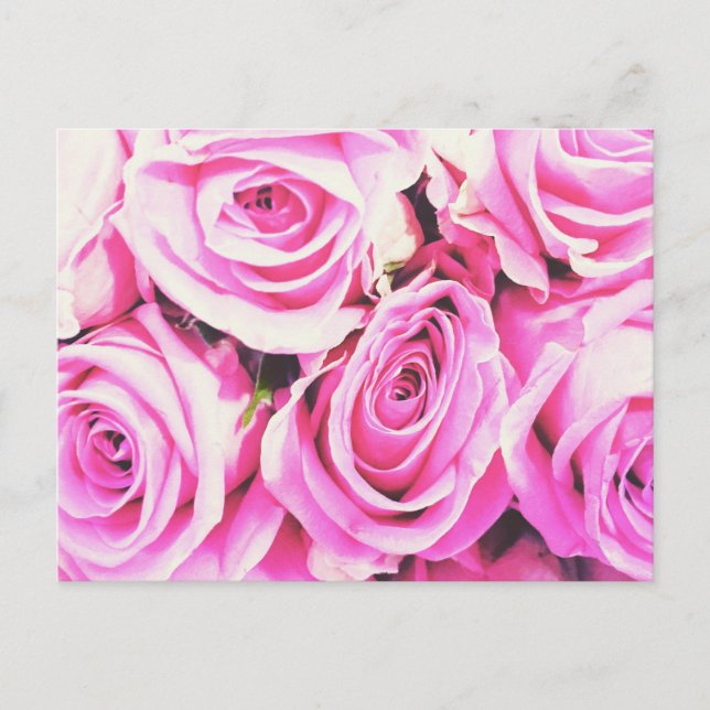 Cartão Postal rose roses pink bunch flowers card Postcard (Frente)