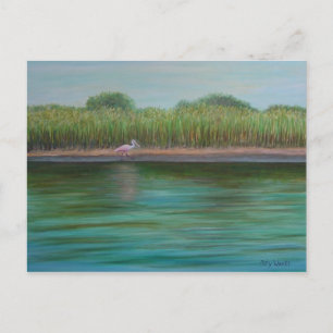 Cartão Postal ROSEATE SPOONBILL NO Cartão-Postal CREEK LESTE